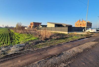 Casă cu 5 camere cu Teren 5000 Mp în Vidra - 14