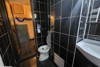 Apartament cu 2 camere semidecomandat în Alexandru cel Bun - 13