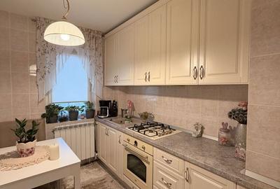 Apartament cu 2 camere decomandat, mobilat în Vidra - 19