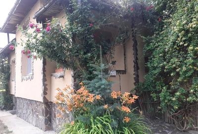 Casă cu Teren 635 Mp în Ocoliș - 4