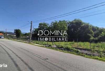 Teren de 3175 mp, în Peștișani - 2