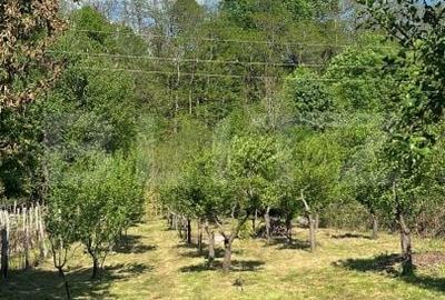 Casă cu 4 camere cu Teren 1650 Mp în Central - 11