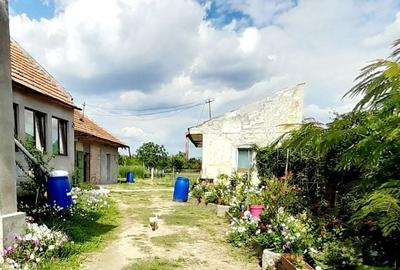 Casă cu 3 camere în Central - 5