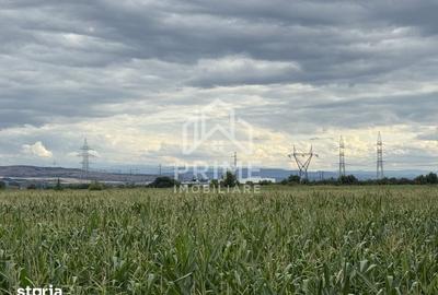Teren de 6936 mp, în Industrială
