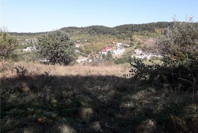 Teren de 3200 mp, în Central