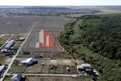 Teren Construcții intravilan de 500 mp, în Dumbrăveni - 3