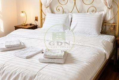 Apartament cu 3 camere în Centrul Istoric