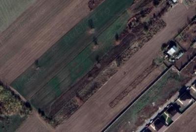 Teren de 1588 mp, în 1 Decembrie - 3