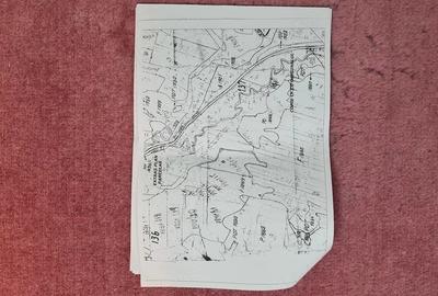 Teren de 10000 mp, în Luncani