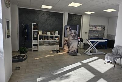Spațiu comercial, de 57 mp, în Central - 7