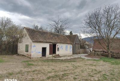 Casă cu Teren 1355 Mp în Ștrand - 3