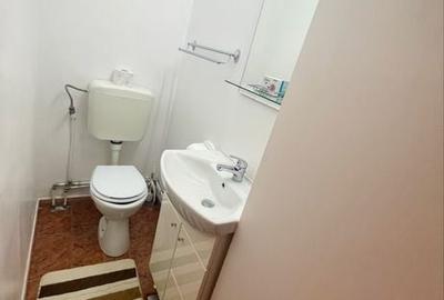 Apartament cu 3 camere decomandat în Teiul Doamnei - 1