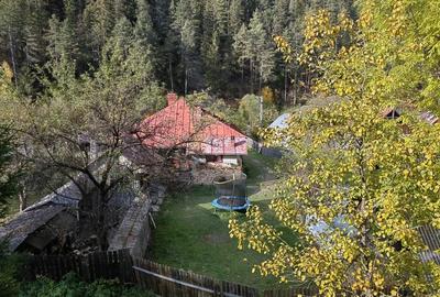 Casă cu 4 camere în Borca