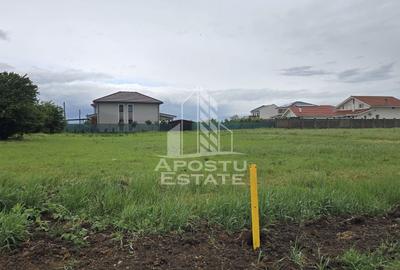 Teren Construcții intravilan de 757 mp, în Dumbrăvița - 3