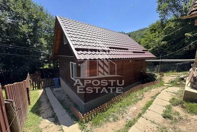 Casă cu Teren 771 Mp în Dumbrava - 8