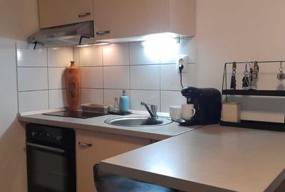 Apartament cu 2 camere semidecomandat în Dosu Bricii