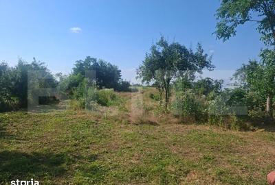Casă cu 2 camere cu Teren 5000 Mp în Dragomirești - 4