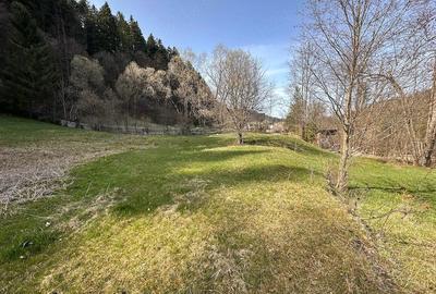 Teren de 6888 mp, în Putna - 1