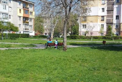 Spațiu comercial, în Almașu Mic