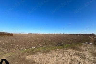 Teren de 40000 mp, în Letca Nouă