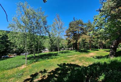 Teren intravilan de 3660 mp, în Cisnădioara - 3