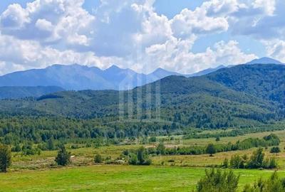 Teren agricol intravilan de 900 mp, în Porumbacu de Jos - 5