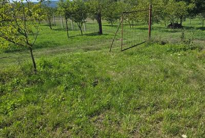 Teren de 7353 mp, în Almașu Mic - 1