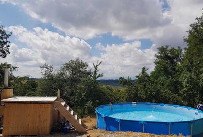 Casă cu 4 camere cu Teren 1700 Mp în Meziad