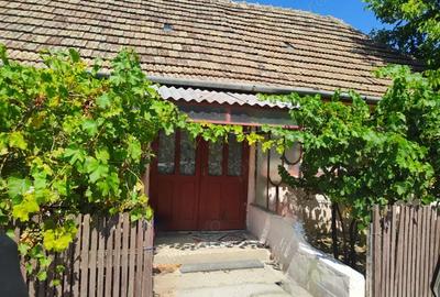 Casă cu 6 camere cu Teren 1596 Mp în Nerău - 4