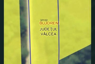 Teren de 1000 mp, în Bujoreni