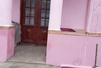 Casă individuală cu 2 camere cu Teren 2930 Mp în Valea Stanciului