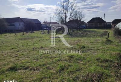 Teren de 705 mp, în Tileagd