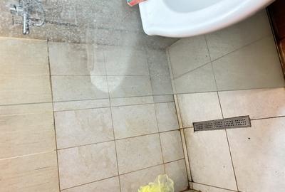 Apartament cu 3 camere decomandat în Tomis Nord - 12