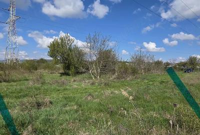 Teren de 5000 mp, în Mihai Viteazu