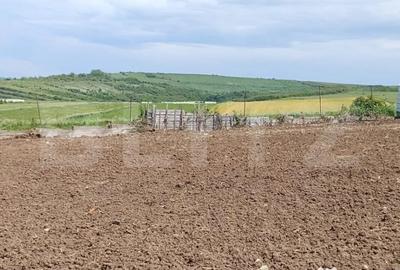 Teren de 1107 mp, în Șimnicu de Sus - 4