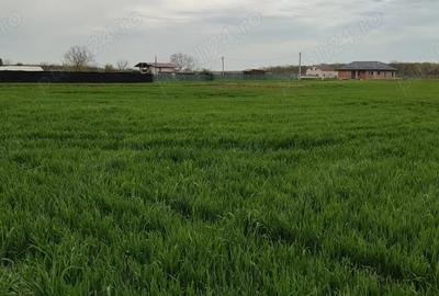 Teren de 1000 mp, în Călugăreni - 2