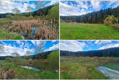 Teren de 21000 mp, în Slatina - 1