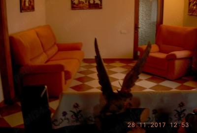 Casă cu Teren 700 Mp în Breaza de Sus - 3