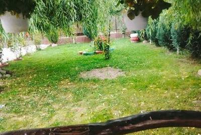 Casă cu 3 camere cu Teren 75 Mp în Dumbrava - 4