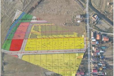 Teren Construcții intravilan de 11000 mp, în Moșnița Nouă - 2