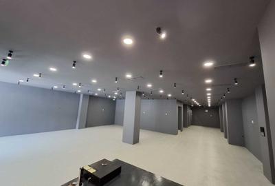 Spațiu comercial, de 391 mp, în Ultracentral