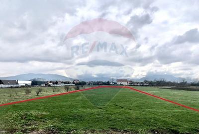 Teren Construcții intravilan de 506 mp, în Cărpiniș - 2