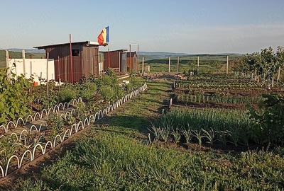 Teren de 470 mp, în Horlești