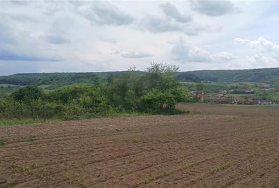 Teren de 500 mp, în Hidiș - 4