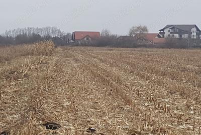 Teren de 2932 mp, în Stupini
