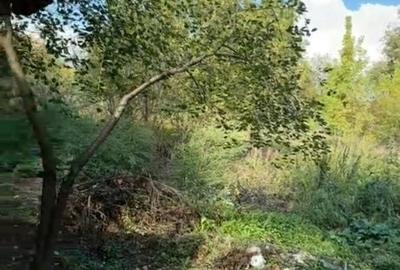 Casă cu 3 camere în Bulci
