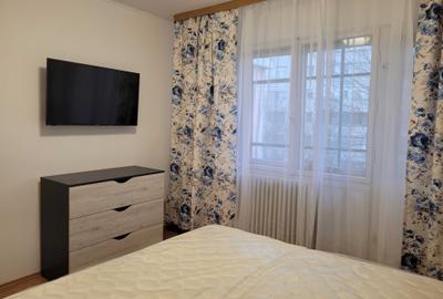 Apartament cu 3 camere decomandat în Podu Roș - 5