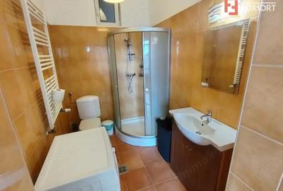 Apartament cu 2 camere semidecomandat în Șagului