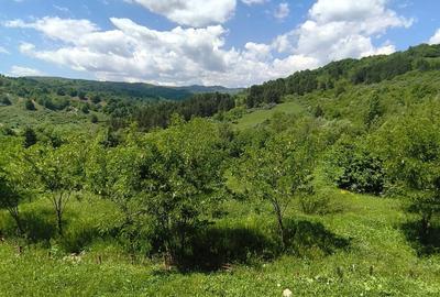 Casă cu 7 camere cu Canalizare în Ocina de Sus - 16