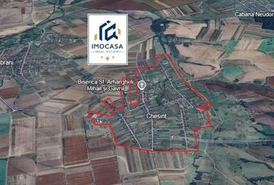 Teren agricol extravilan de 488600 mp, în Zăbrani - 1